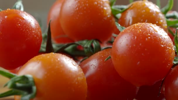 Cherry tomatoes on a branch, close up view - Footage, Video