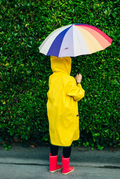 meisje in een gele regenjas op een achtergrond van een muur met gras met een multi-gekleurde paraplu - Foto, afbeelding