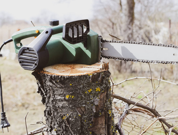 sawn electric sawing tree - Foto, Bild