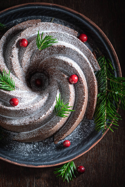 Tasty chocolate cake with spruce and cranberry - Foto, Imagem