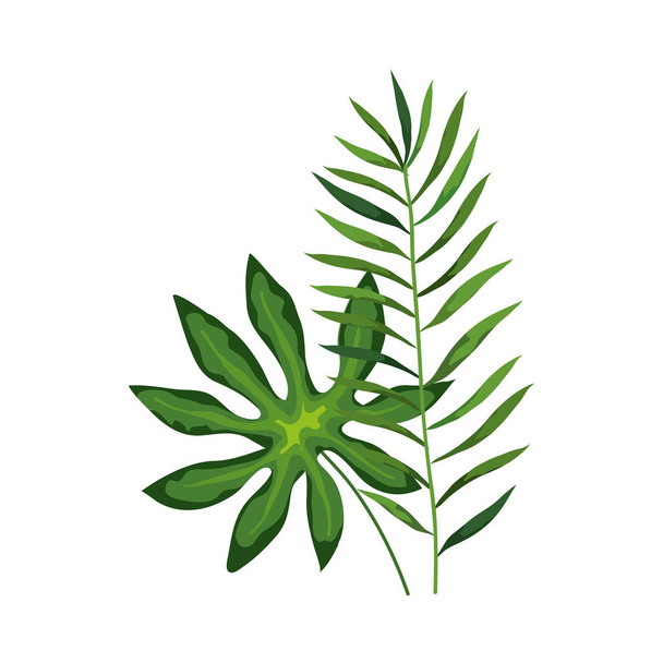 branch with leafs tropical nature isolated icon - Διάνυσμα, εικόνα