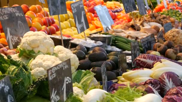 大都市の野菜市場。様々な野菜や果物の膨大な選択。カウンターで健康的な新鮮な有機ビーガンフード.ドイツ語で値札を付ける - 映像、動画