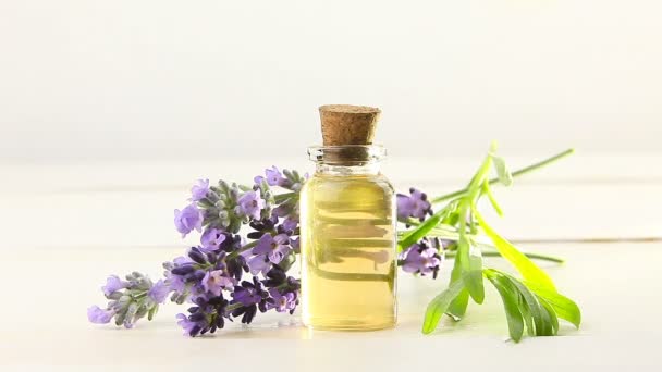 lavender essential oil in  beautiful bottle on White background - Footage, Video