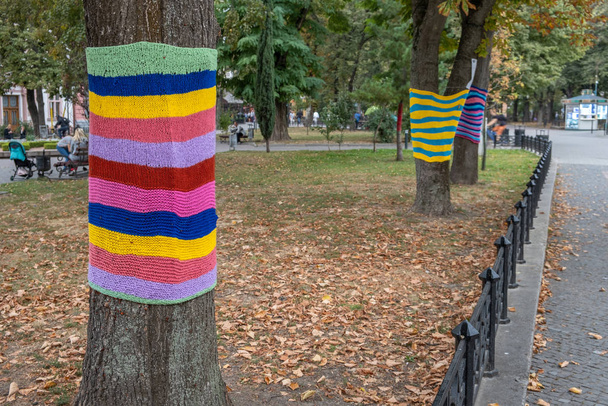 Alberi che indossano sciarpe colorate in maglia nel parco autunnale. Cura abou
 - Foto, immagini