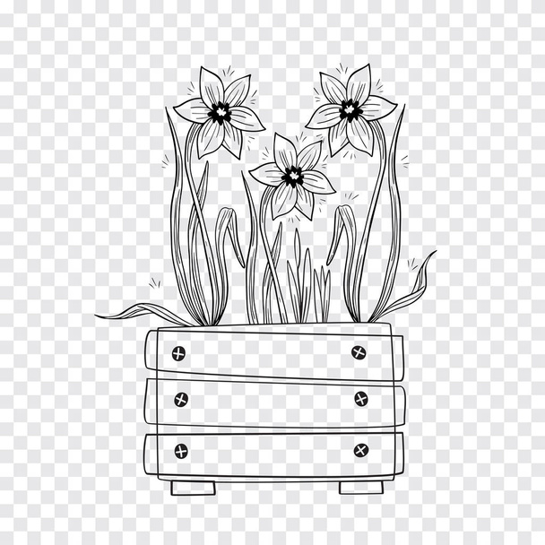 Spring flowers daffodils in a wooden box. Expressing business colors. Gift for Women's Day, Mother's Day, Ginseng. Halal business for Muslims. Hand drawn flowers on a transparent background.1 - Vector, Image