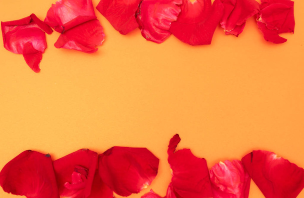 rote Rosenblätter auf orangefarbenem Hintergrund, - Foto, Bild