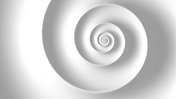 Abstract fibonacci white spiral background. Golden ratio. Vector illustration - Vector, Image