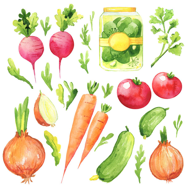 warzywa zbiór lato świeże rzodkiewka marchewka cebula ogórek garnek zieleń akwarela ilustracja zestaw - Zdjęcie, obraz
