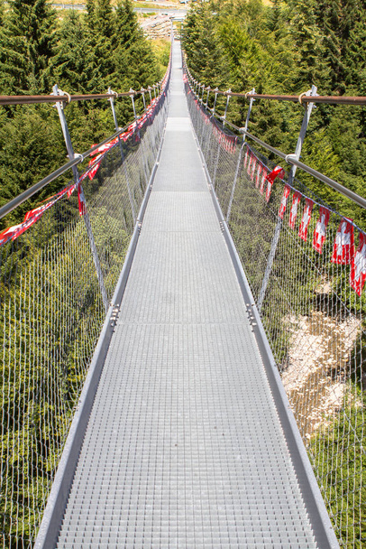 Puente colgante en Torgon, Suiza
 - Foto, imagen