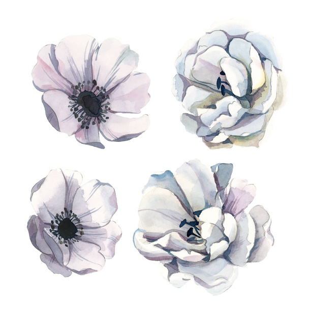 Watercolor set of white flowers isolate in white background for  - Valokuva, kuva