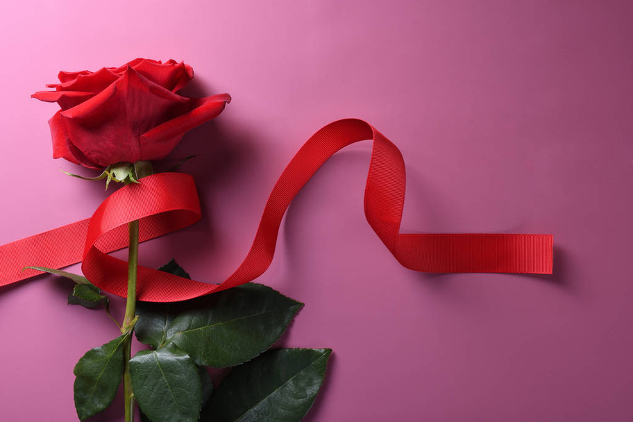 Ημέρα του Αγίου Βαλεντίνου φόντο ευχετήρια κάρτα σύμβολα αγάπης, κόκκινη διακόσμηση με τριαντάφυλλα σε ροζ φόντο. Κάτοψη με χώρο αντιγραφής και κείμενο. - Φωτογραφία, εικόνα