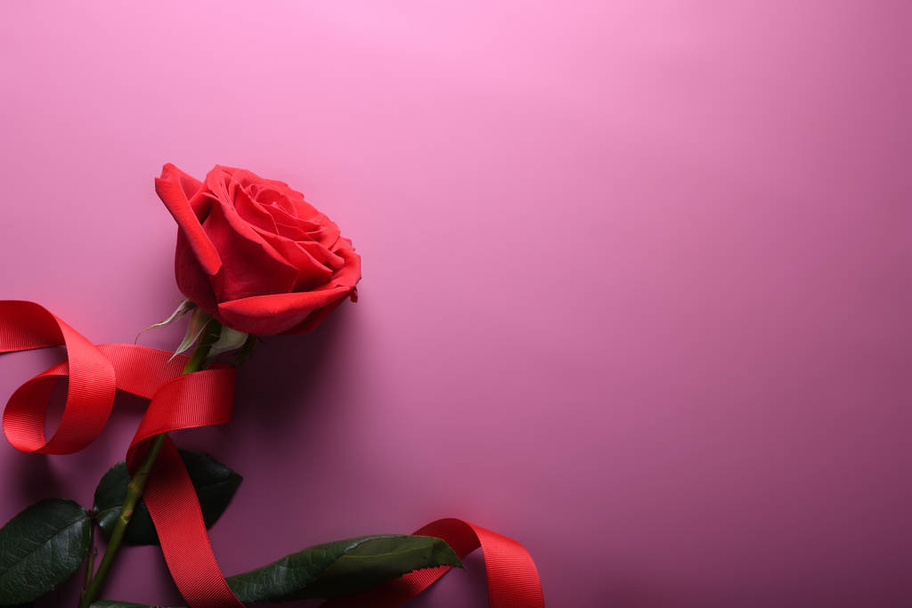 Valentijnsdag achtergrond wenskaart liefde symbolen, rode decoratie met rozen op roze achtergrond. Bovenaanzicht met kopieerruimte en tekst. - Foto, afbeelding