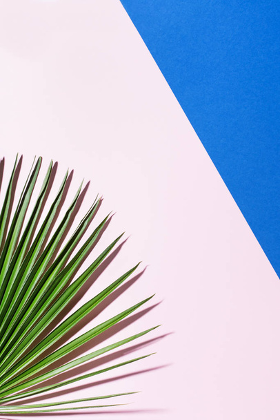 Tropické palmové listy pozadí, dovolená letní dovolená koncept - Fotografie, Obrázek