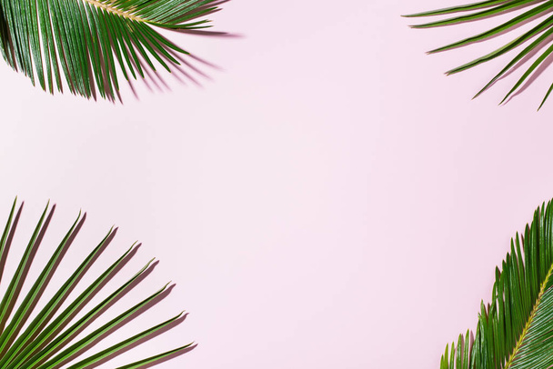 Tropical palm leaves background, vacation summer holiday concept - Zdjęcie, obraz