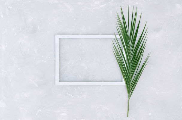 Green palm leaf and white frame on concrete background.  - Foto, Imagen