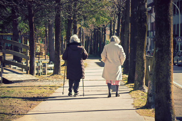 屋外で一緒に歩いている老人や公園で健康活動をしている先輩たち - 写真・画像