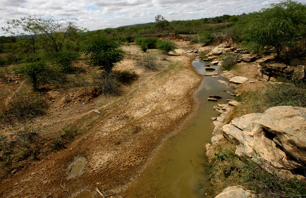 almacenamiento de agua del estanque durante la sequía
 - Foto, Imagen
