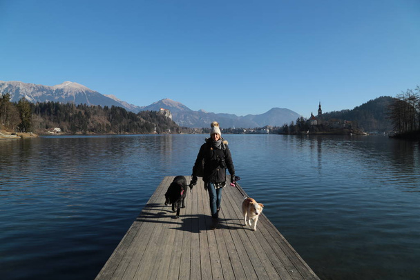 Lány és kutyája a Bled-tó fából készült mólóján, Szlovénia - Fotó, kép