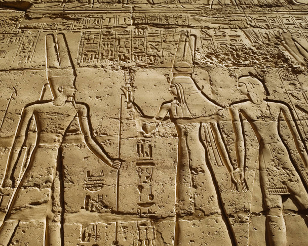 Yksityiskohta muinaisesta egyptiläisten hieroglyfien muurista Karnakin temppelin raunioilla Egyptissä
 - Valokuva, kuva
