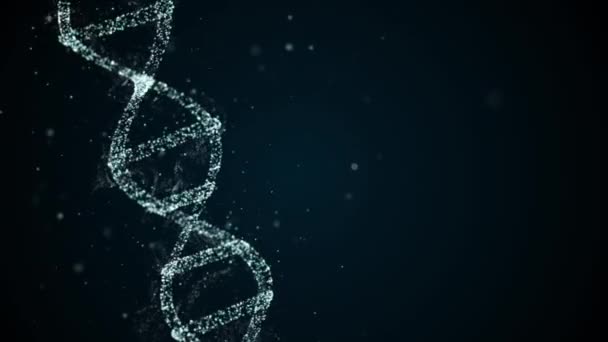 Ανάλυση της δομής DNA. μόριο κλώνου Dna που συγκρατεί τέσσερα κομμάτια αδενίνης, θυμίνης, γουανίνης και κυτοσίνης. - Πλάνα, βίντεο