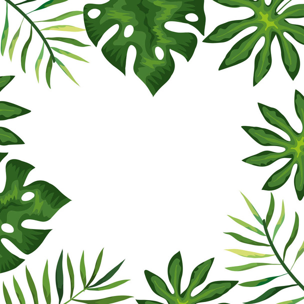 枝や葉の熱帯雨林の - ベクター画像