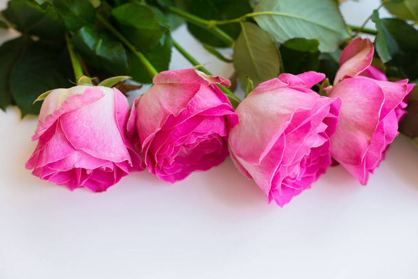 rosa rosa hermosa - Foto, imagen