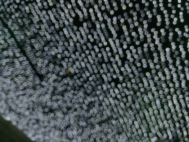 Bir sürü ışık noktası olan soyut arkaplan - Fotoğraf, Görsel
