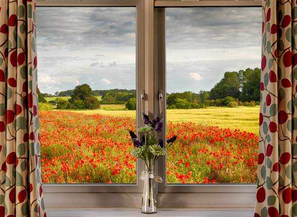 Window with view to poppy fields - Photo, Image