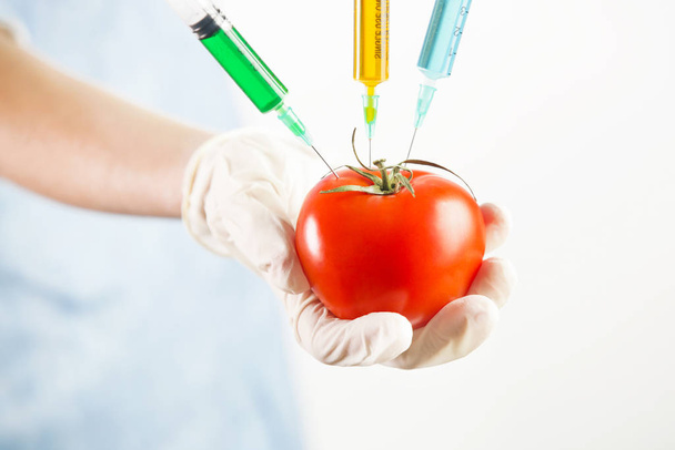 Closeup of needle injected into red tomato, Genetically engineered food concept - 写真・画像