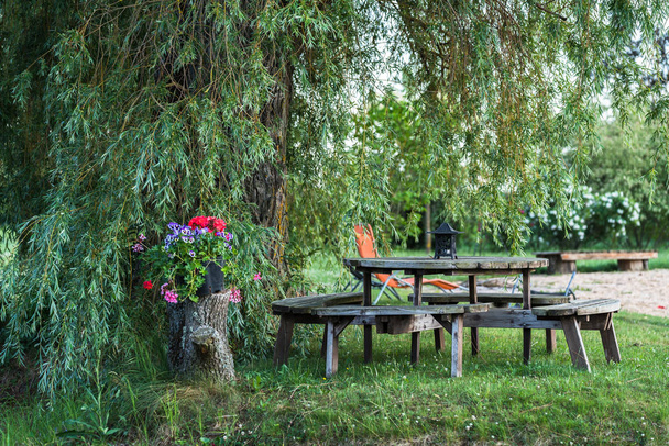 mesa redonda de madera con decoración de velas; maceta en un bloque de madera; un lugar de descanso en la naturaleza verde, bajo un gran sauce, con ramas colgantes
 - Foto, imagen
