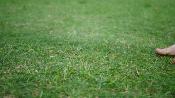 Dospělí muži klusají na čerstvě posekané zelené trávě s holýma nohama - Záběry, video