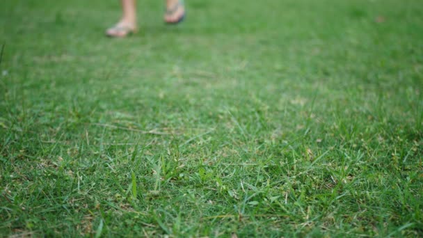 Muž kroky na zelené trávě v žabkách, pak si je sundá a chodí bosý - Záběry, video