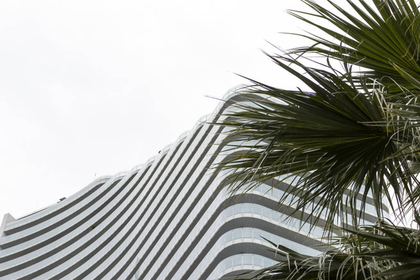 Tropical summer palm tree leaves on modern building background, travel and resort concept - Foto, afbeelding