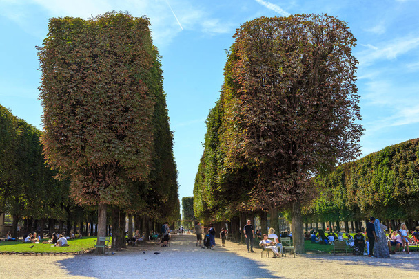 Люксембурзького саду в Парижі - Фото, зображення
