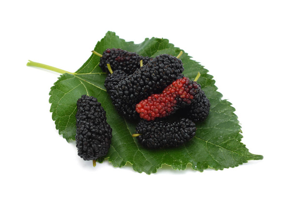 Rijp Mulberry fruit geïsoleerd op de witte achtergrond - Foto, afbeelding