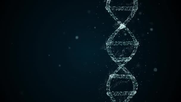 Analyse van de DNA structuur. DNA-strengenmolecuul bestaande uit vier delen adenine, thymine, guanine en cytosine. - Video