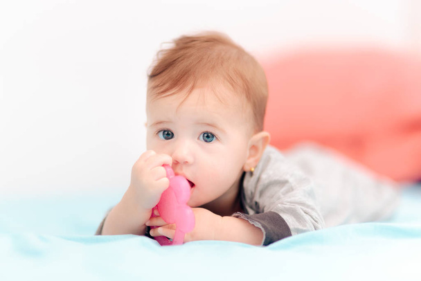 Cute Baby Biting on Calming Teething Toy  - 写真・画像