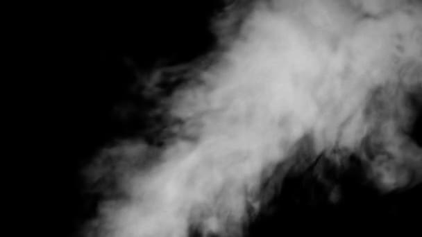 Biały dym na czarnym tle slow motion - Materiał filmowy, wideo