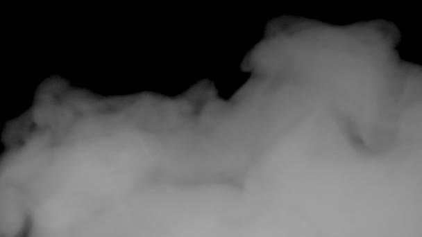 Fehér füst egy fekete háttér lassított felvétel - Felvétel, videó
