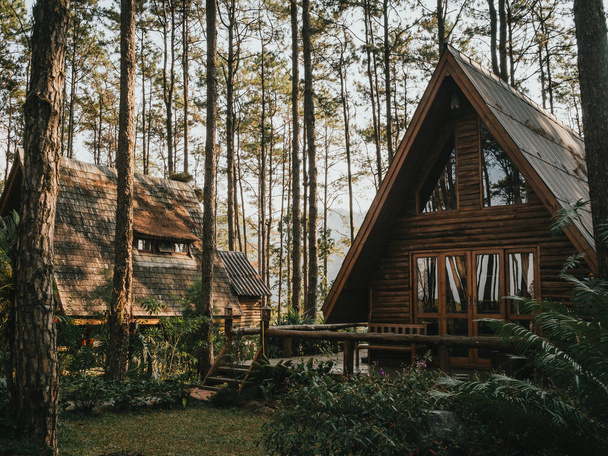 Rekreační dům v borovém lese - Fotografie, Obrázek