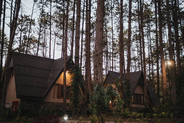 Casa de vacaciones en pinar
 - Foto, Imagen