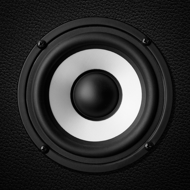 Black & white speaker, leather speakers - Φωτογραφία, εικόνα