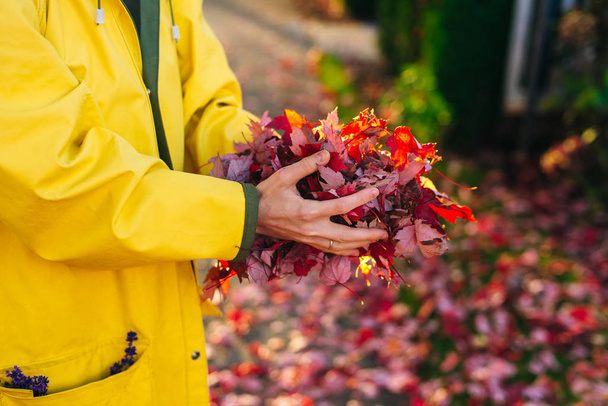 meisje in een gele regenjas houdt rode bladeren in haar handen. herfst - Foto, afbeelding