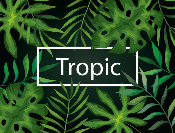 рамка тропика ветвей с листьями
 - Вектор,изображение