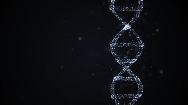 Génétique Concept d'hérédité. Animation 3D de l'ADN composé de particules avec des traits génétiques ancêtres
. - Séquence, vidéo
