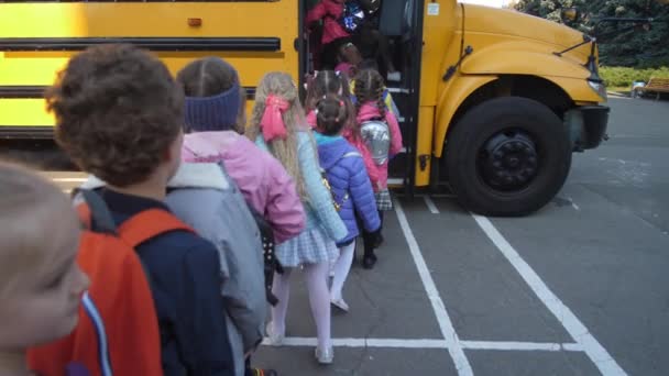 Lined up elementary age kids boarding school bus - Footage, Video