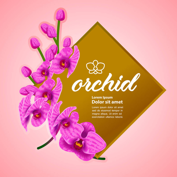 Ilustración de vectores de concepto de diseño de gran orquídea premium
.  - Vector, imagen