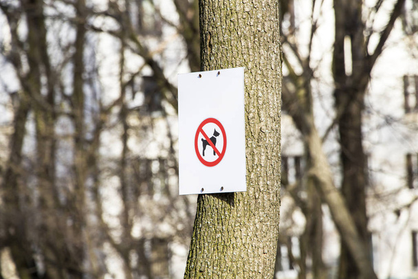 the sign "dog walking is prohibited" attached to a tree, with space for the inscriptio - Fotografie, Obrázek