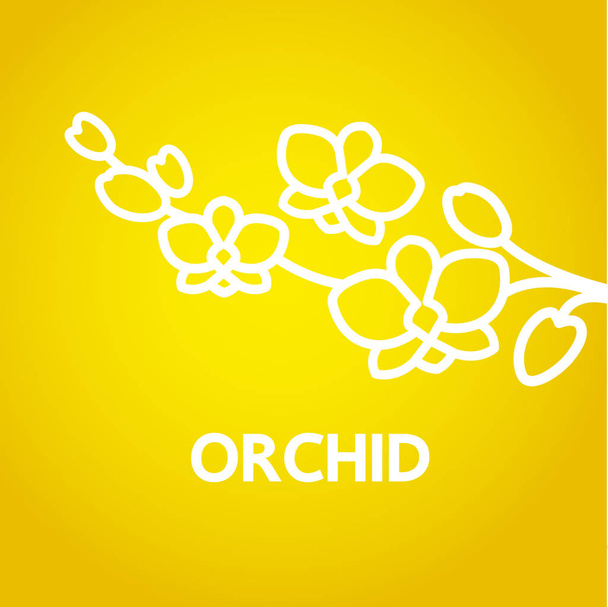 Преміум грандіозна концепція дизайну орхідей Векторні ілюстрації
.  - Вектор, зображення