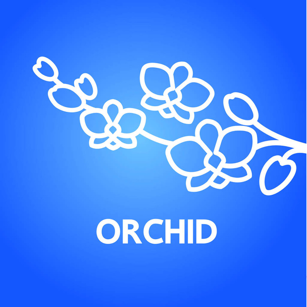 Ilustração do vetor do conceito do projeto da orquídea grande Premium
.  - Vetor, Imagem
